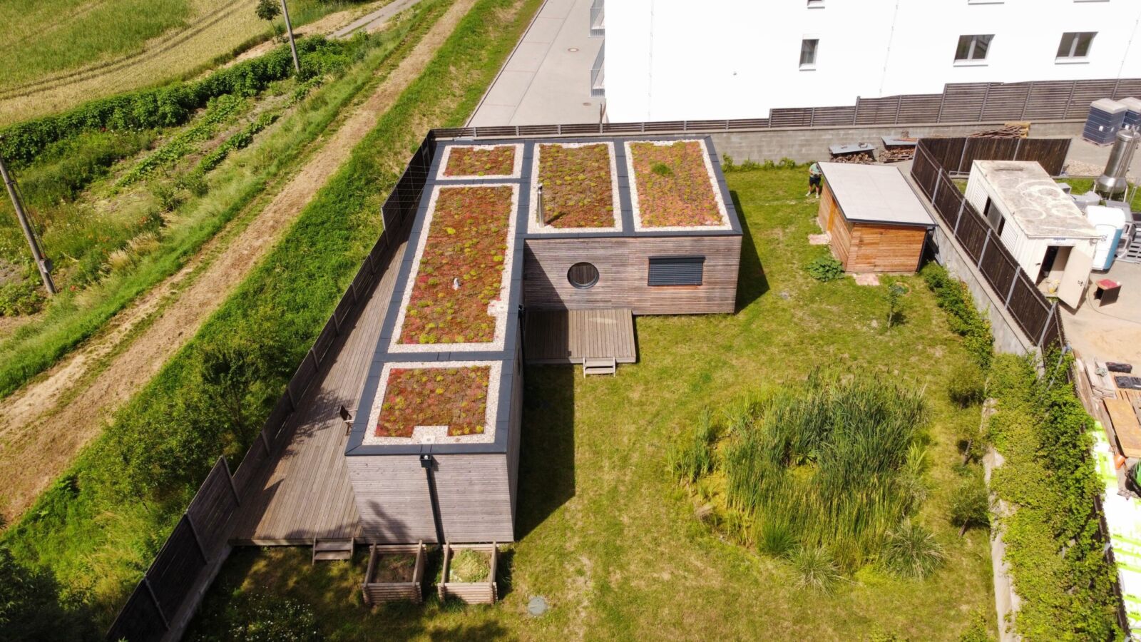 Zelená střecha – detail realizace Salvogreen